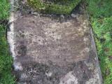 image of grave number 446646